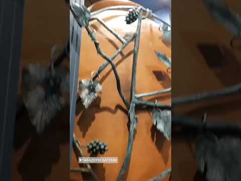 Ревизор в Тавадури.