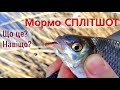 Мормо сплітшот