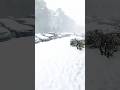 First Snow in Florida for Years #Snow #winter #snow #viral #viralvideo