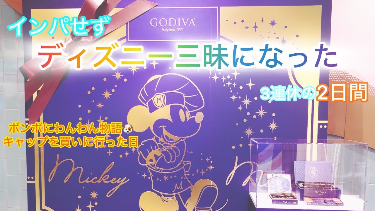 【Vlog】インパせずにディズニー三昧⁉️だった3連休の2日間❣️〜わんわん物語🐶キャップを買いにボンボへ行った日