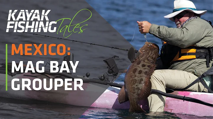 Kayak Fishing for Big Grouper in Magdalena Bay, Ba...