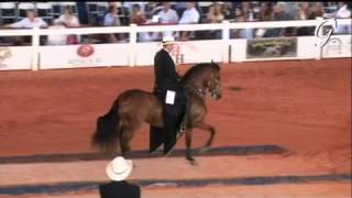 TROTE Y GALOPE MARES 11 CONFEPASO MUNDIAL