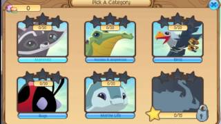 NEW UPDATES SEPT. 18TH PET MONKEYS