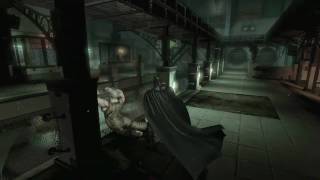 Batman: Arkham Asylum Invisible Predator Trailer