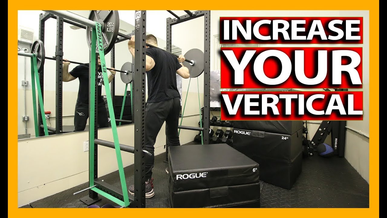 VERTICAL JUMP TRAINING WORKOUT (Exercise Explanations) How To Increase