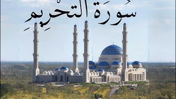 سورة التحريم  / الشيخ أحمد عبدالحميد طاحون