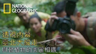 【透視內幕：臺北大縱走】森林篇