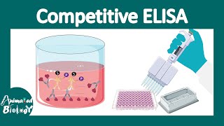 Competitive ELISA | Principles and applications of Competitive ELISA | CSIR Unit 13
