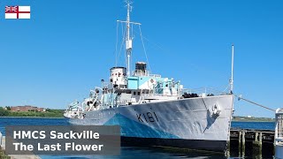 HMCS Sackville - The Perennial Flower