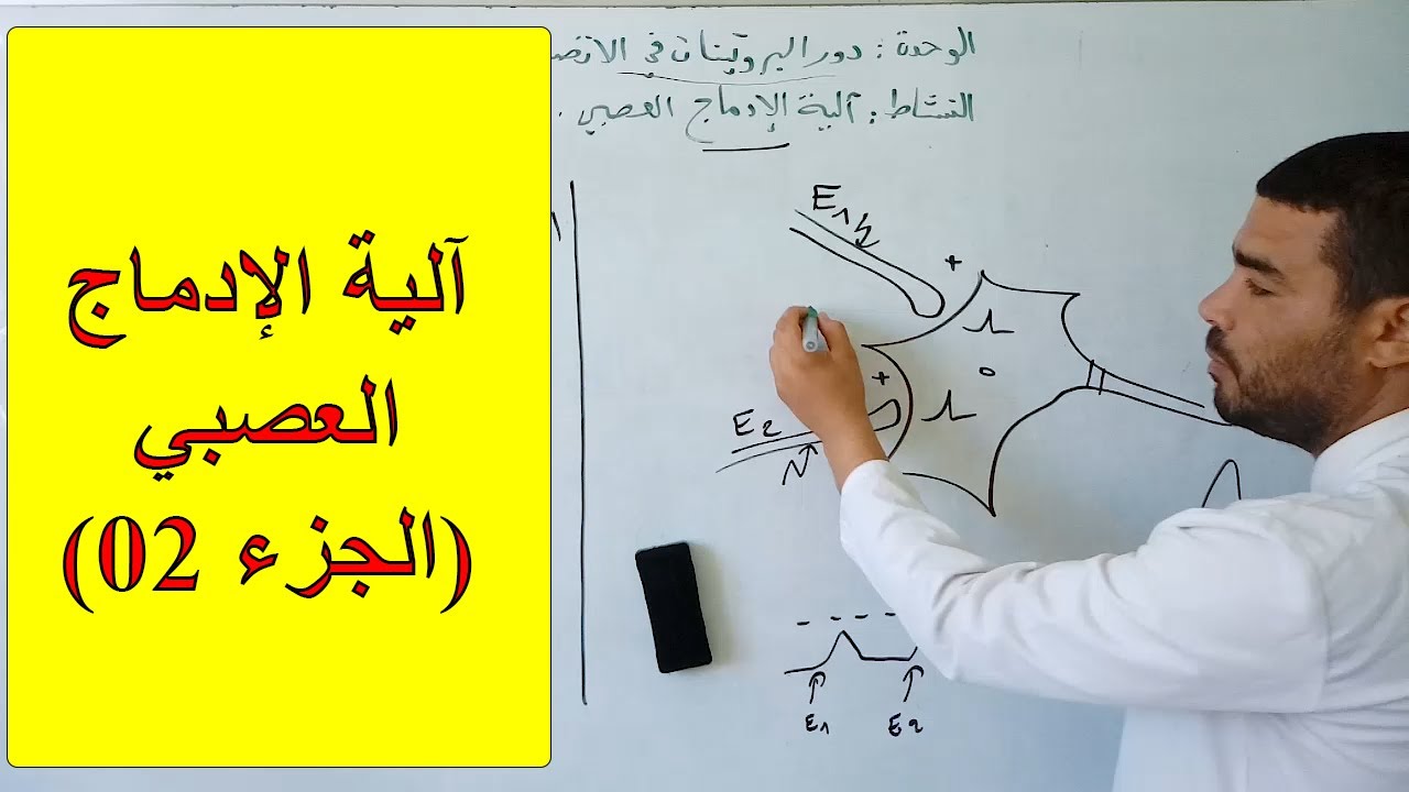 آلية الإدماج العصبي (الجزء الثاني)