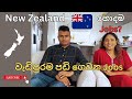 New Zealand Job Salaries Jobs Sinhala Vlogs