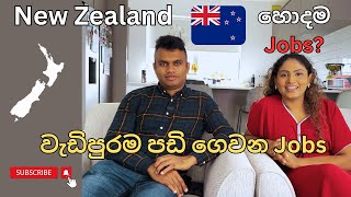 New Zealand Job Salaries | වැඩිපුරම පඩි ගෙවන Jobs | Sinhala Vlogs