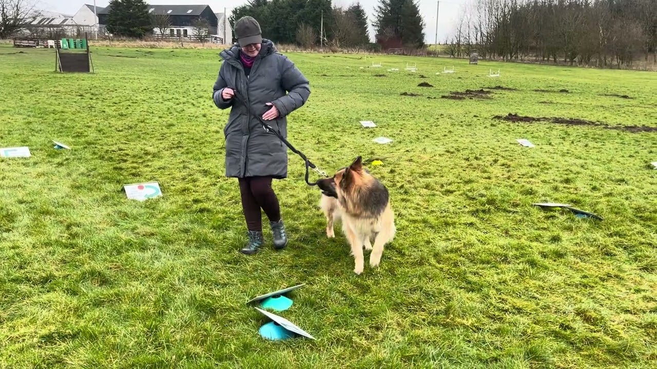 February 2026 level 2 