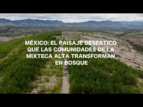 México: el paisaje desértico que las comunidades de la Mixteca Alta transforman en bosque