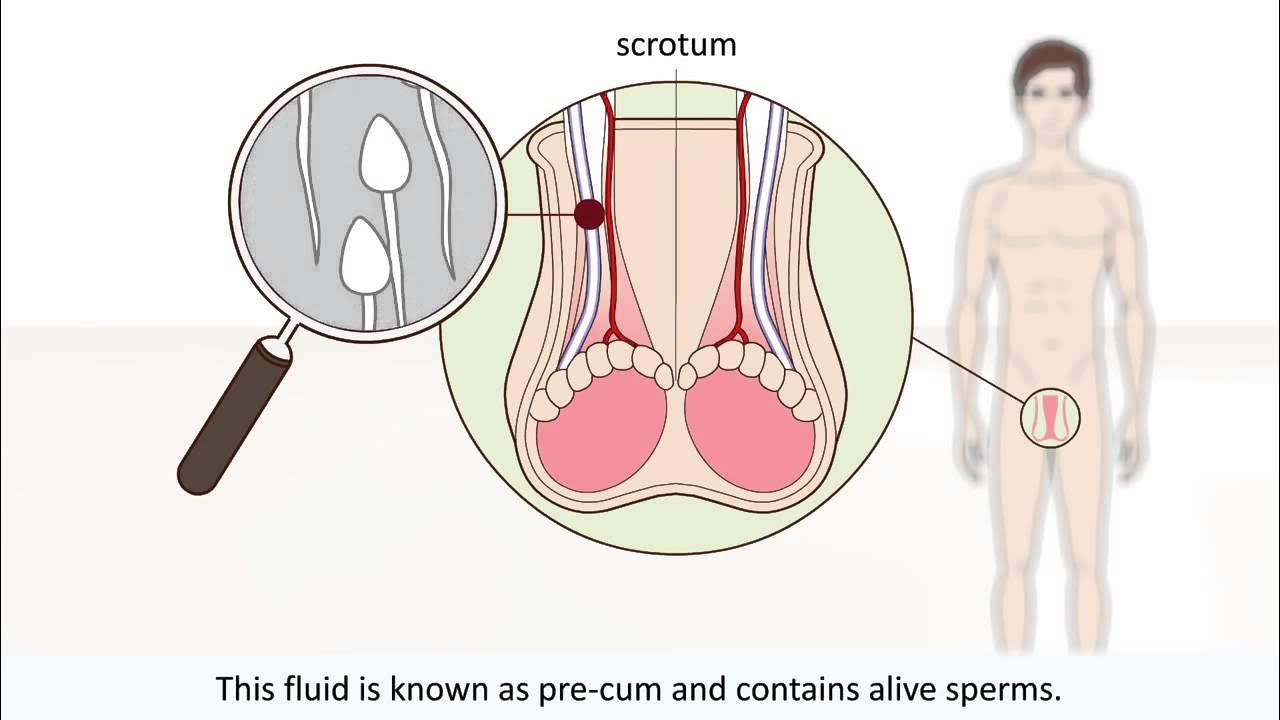 Ommaviy jinsiy aloqa porno rasmlar