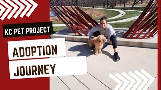 ADOPTING a dog from KC Pet Project. Walter's Journey from Kansas City to St Louis.