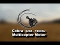 Cobra 2204-1960Kv / Motor test