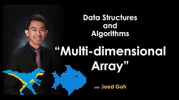11 Multi-dimensional Array : Data Structures and Algorithms