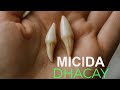 RIYADA MICIDA KAA DHACAYSO BISHAARO IYO DIGNIIN RIYADA MICIDA KAA DHACAYSO BISHAARO IYO DIGNIIN