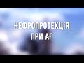 Нефропротекція при АГ. Кушніренко С.В.