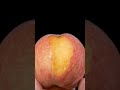 Peach Skin Peeling ASMR 🍑 Tweezers Remove a Tiny Skin Flap in Ultra Macro Detail