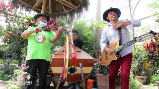 Video thumbnail of "✔ LIMONCITO VERDE ♫ Andrés "CHIMANGO" Lares ♪ AYRAMPITO ♪ Max Misterio"