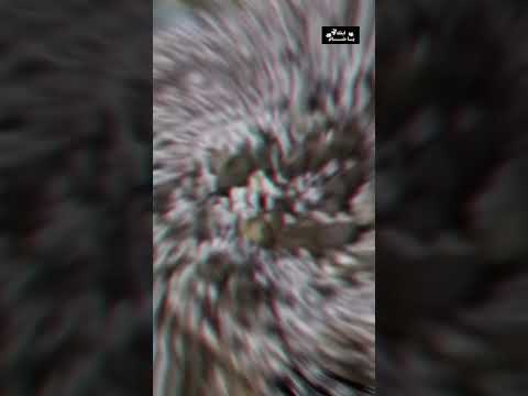 فياحجاج بيت الله مهلا فصحى قصيدة اشعار وقفة عرفة 