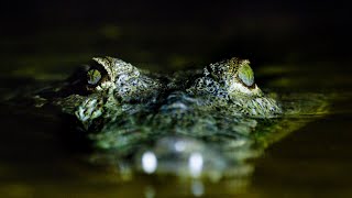 Exclusive Sneak Peak | The Riot and the Dance: Water