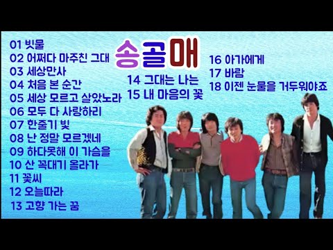 송골매 노래모음