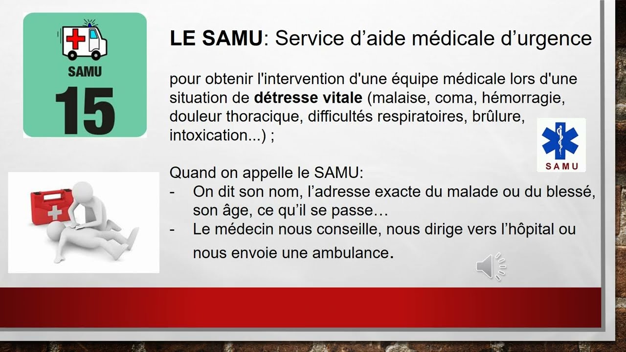 Décalcomanies 1/43 INTERDECAL - Secours Ambulatoires Français (Médecin Urgentiste 01)