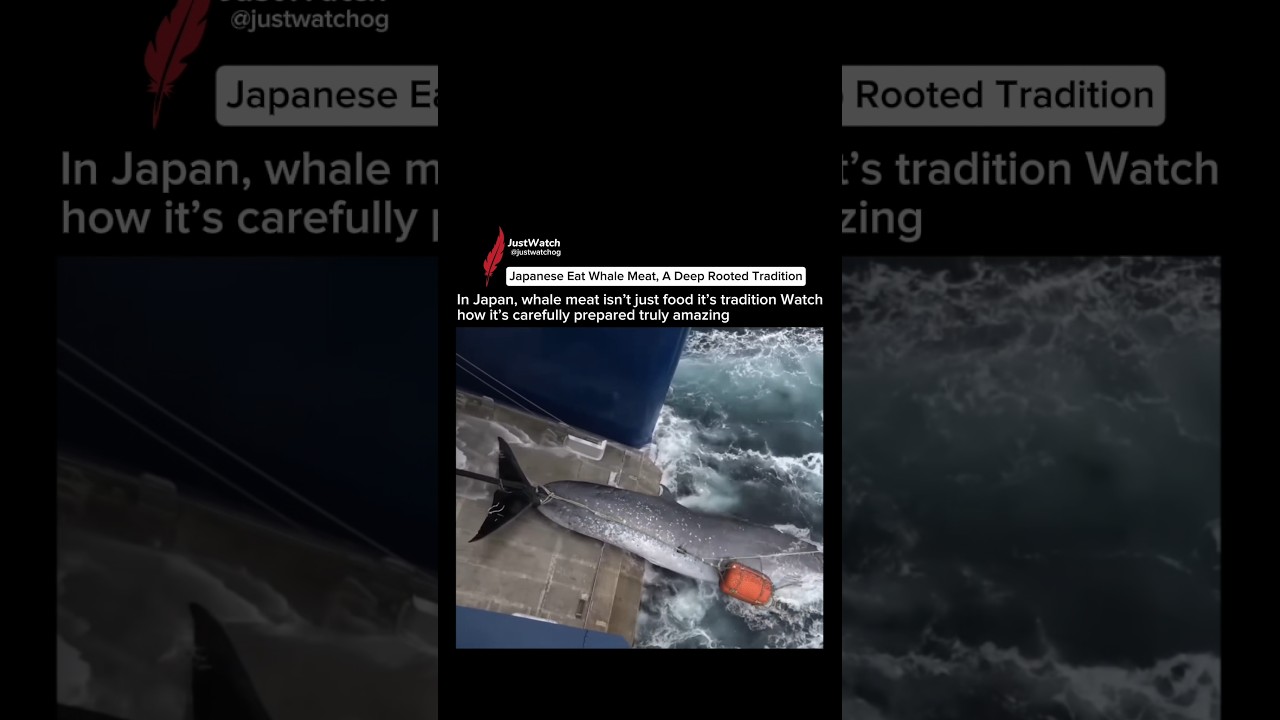 Japan’s Shocking Tradition They Eat Whale Meat 