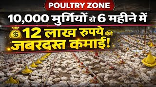 10 हजार मुर्गियों से 6 महीने में 12 लाख रुपए की कमाई हुई, देखे वीडियो संपूर्ण जानकारी 