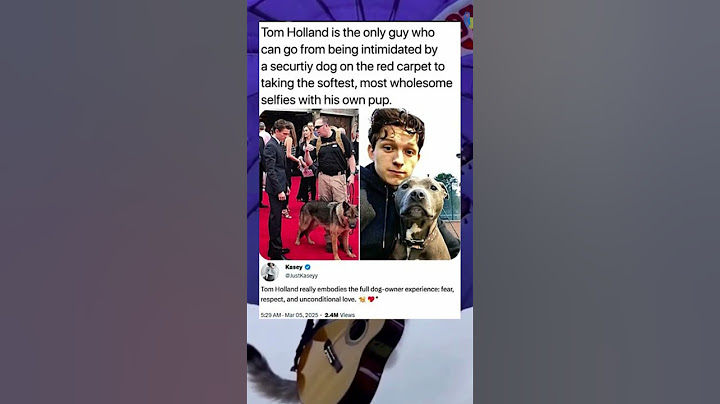 Tom Holland's Unconditional Love for Dogs! 💖