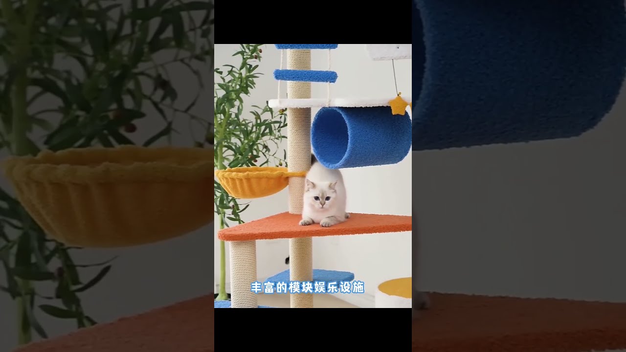 House Cat Tree Cat Climbing Frame Tree Small-sized Apartment Cattery Vertical Cat Toy Integrated