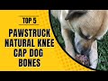 Top 5: Best Pawstruck Natural Knee Cap Dog Bones 2022