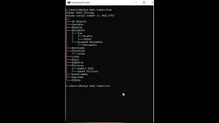 How to See Display Directory in Tree Safe Using Cmd | #shorts #cmd #viral