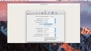 Enable your Adobe Flash Player on Safari screenshot 3