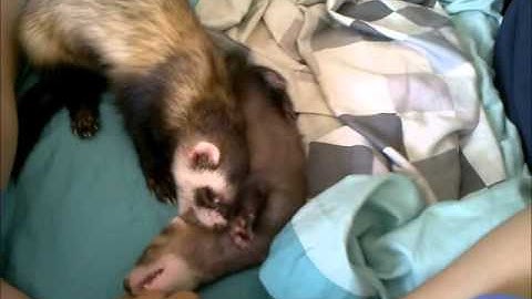 קצת זן לשישי אחר הצהריים