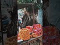 #kamakhyatemle Kamakhya sthan#minivlog #happynewyear@monuxyz