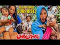 Surprising My Family With A New PUPPY!