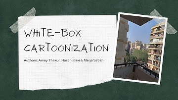 WHITE-BOX CARTOONIZATION