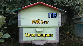 ЧТО В ЛЕЖАКЕ? 20 рамок с нуля.