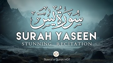 Surah Yasin (Yaseen) سورة يس | Relaxing heart touching voice | Tilawat e Quran MDT