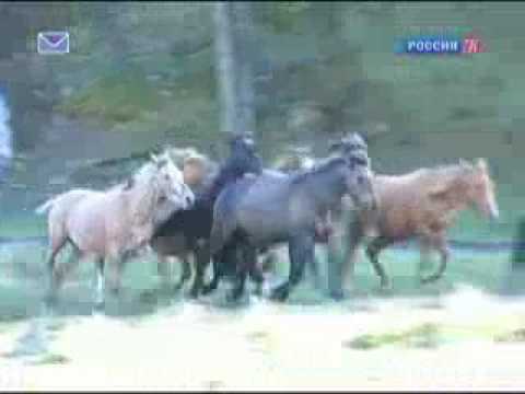 Лолита фильм 2007 смотреть