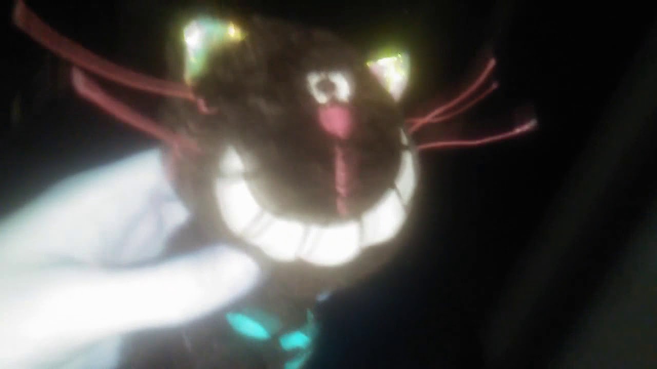 Bad Dream Cat moves in In Goo Goo Gaa Gaa YouTube