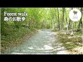 森のお散歩 Forest walk [Vlog]