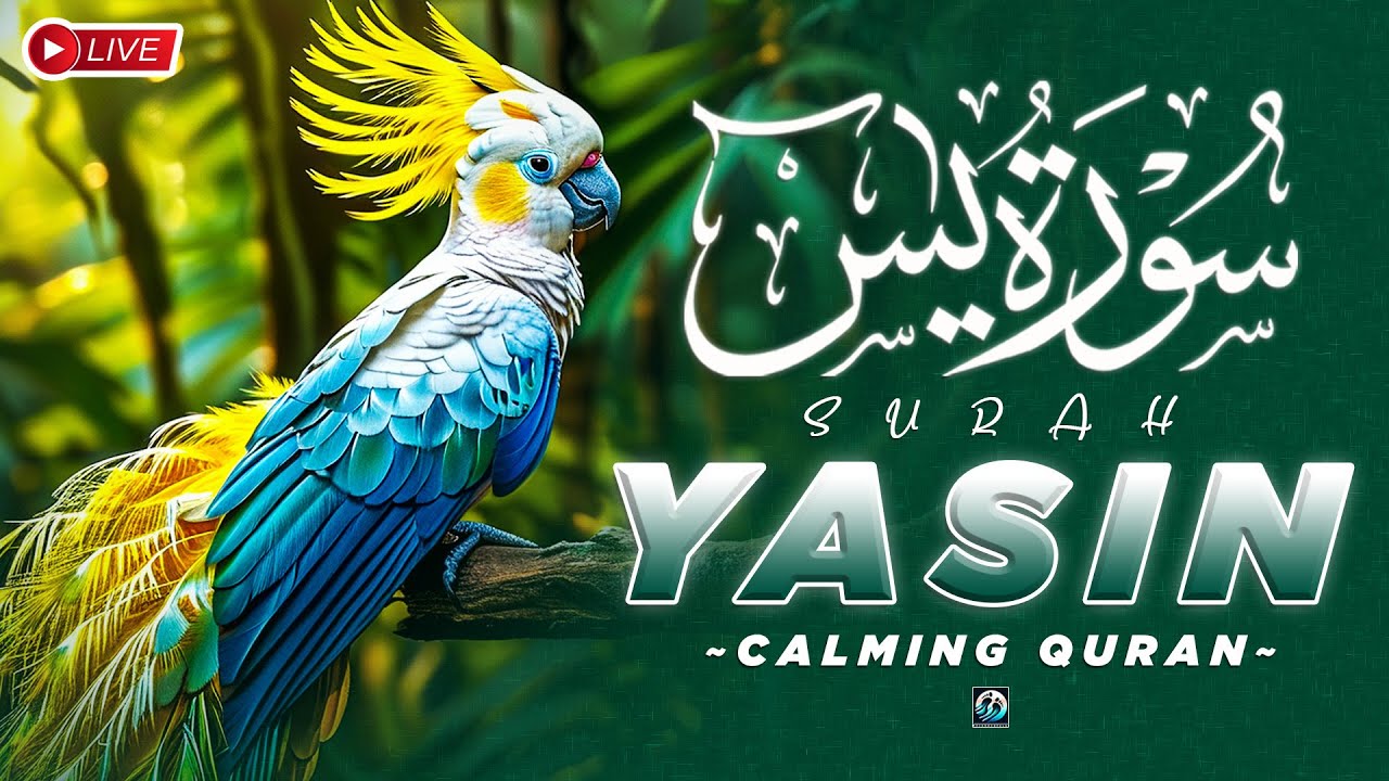Surah Yasin (Yaseen) Full 🕌 Beautiful Quran 🕌 Dua Blessing Rizq & Wealth | Powerful Islamic Dhikr