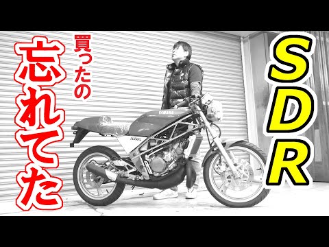 SDR200 YAMAHA タンク レア Yamaha SDR200 Aluminum fuel tank | BEATER-JAPAN - Aluminum