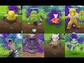 11 Shadow pokemon added in pokemon go!