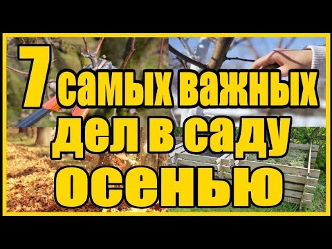 Как приготовить сад к зиме